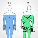 비봉광고기획 | 24.5세
