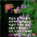사누끼 - 안양시 동안구 흥안대로 426-17 | 사누끼
