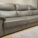 처분이사 이미지