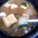 해바라기 애견 이미지