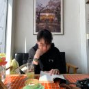 경주 예스터데이 카페 , 3월 벚꽃 사진 찍기 좋은 감성 한옥카페