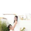 메리데이헤어 이미지