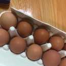 오서방네 농장 | 몸에좋고 질도좋은 오서방네 자연산골 농장 유정란 추천