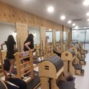 다짐 | 필라테스 초보도 OK! 다짐필라테스 남영점 솔직 후기