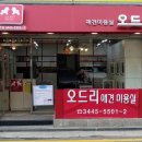 오드리 애견미용실 이미지