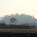 파평면행정복지센터(버스 정류장) 이미지