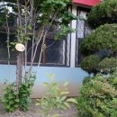 마천초교 이미지