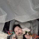 동수로52번길 | 오른쪽 자세성 사경 부천 성모병원 후기(현대해상실손 보험금 후기)