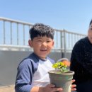 황금유치원 이미지