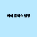 일정 티스토리