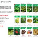 (주)에이바이오머티리얼즈 이미지