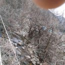 계룡산등산로계곡