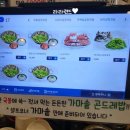 파파합기도장 네이버블로그