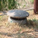 신정호야외음악당 이미지