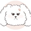 아이패드로 이모티콘 만들기 이미지