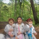 정관피올라유치원