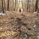 서천남산성 이미지