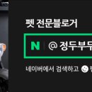 고로고로펫 이미지