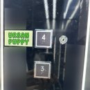 어반퍼피 이미지