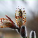 안내목장2 이미지