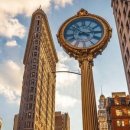 뉴욕약국 이미지