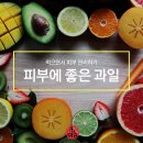 자연미감 네이버블로그
