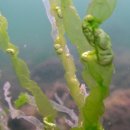 남해-308 이미지