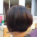 파마이모써니