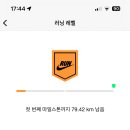 달려라 바우 이미지