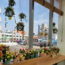 에스에이치(sh)몰 이미지