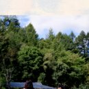 메밀꽃필무렵 이미지