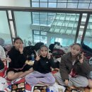 LOVELY POM 이미지