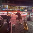 태원축산 이미지