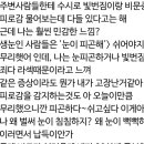 안과의사들은 알려주지 않는, 라식 라섹 수술의 진실.txt 이미지