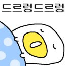 김순례순살치킨속초교동점 이미지