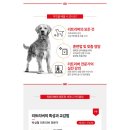 한국동물실용전문학교 이미지