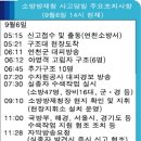 자동우량경보 전자신문