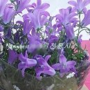 구송동길 | 설치 벌레치단 방범역할 튼튼 안전함 [안성금광면 구송동길 단독주택] 안성방충망 평택안중방충망 청북...