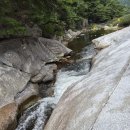 용자정 Daum카페