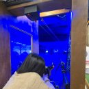 양궁장 | 신림놀거리 찾는다면 리얼샷사격양궁장 강추 후기