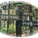 내서농협 호계지점 Daum카페