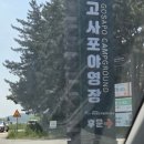 솔밭야영장 | 서해의 낭만! 변산반도 &#39;고사포야영장&#39; 솔밭 캠핑 &amp; 환상적인 일몰 후기 🌅⛺