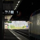 NR-24[동부로]-하-355 | [공지] [대구/동성로] 여름방학에 혼자 떠난 대프리카 이곳저곳!! (히든토이 / 사쿠라전 / 신카이...