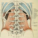 신탄진탑한의원 이미지