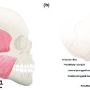 나눔선치과의원 이미지