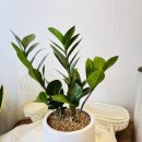 상남동214 이미지