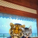 오목천로 이미지