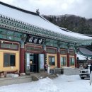 대관령트레이닝센터 | 2024강원동계청소년올림픽 트레블림픽 평창 겨울여행 추천!
