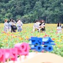 산소카페 청송군민음악회 이미지