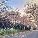 거북이행복어촌체험휴양마을 이미지